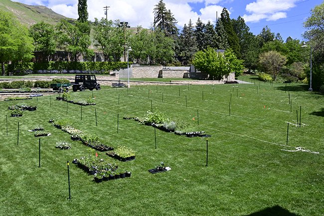 Spring-Plant-Sale-2025-GLE25
