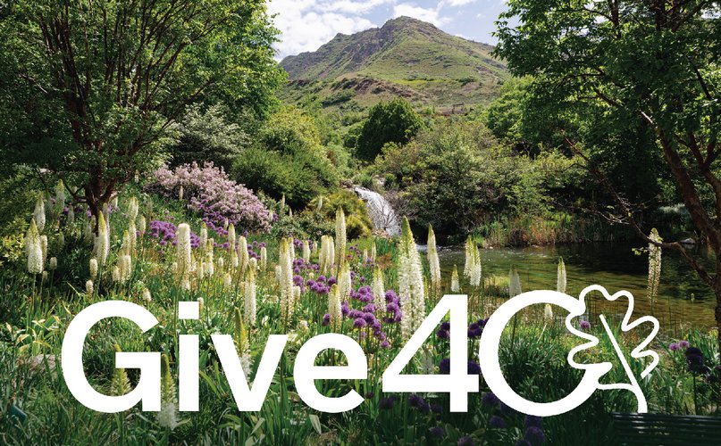 Give40 Summer Appeal