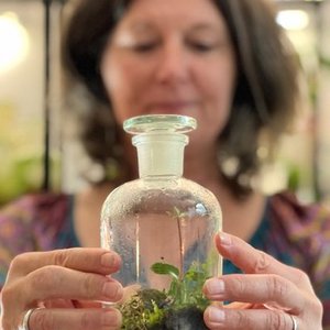 Terrarium workshop