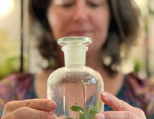 Terrarium workshop