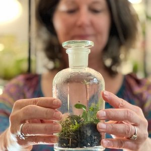 TerrariumWorkshop