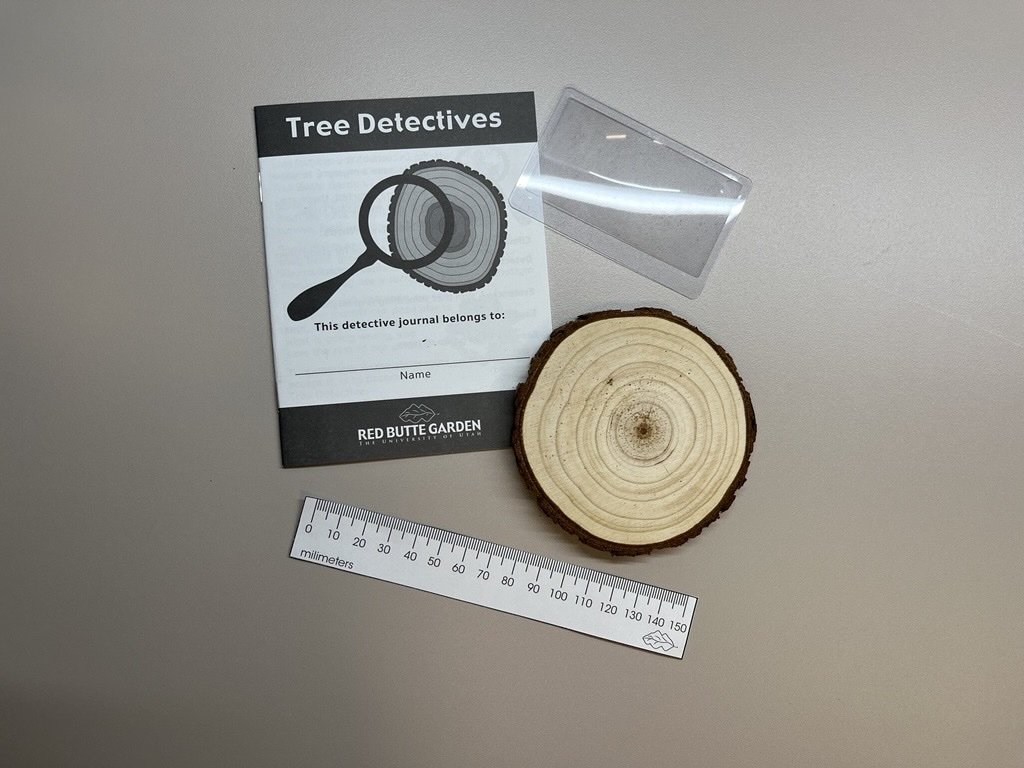 Tree Detectives