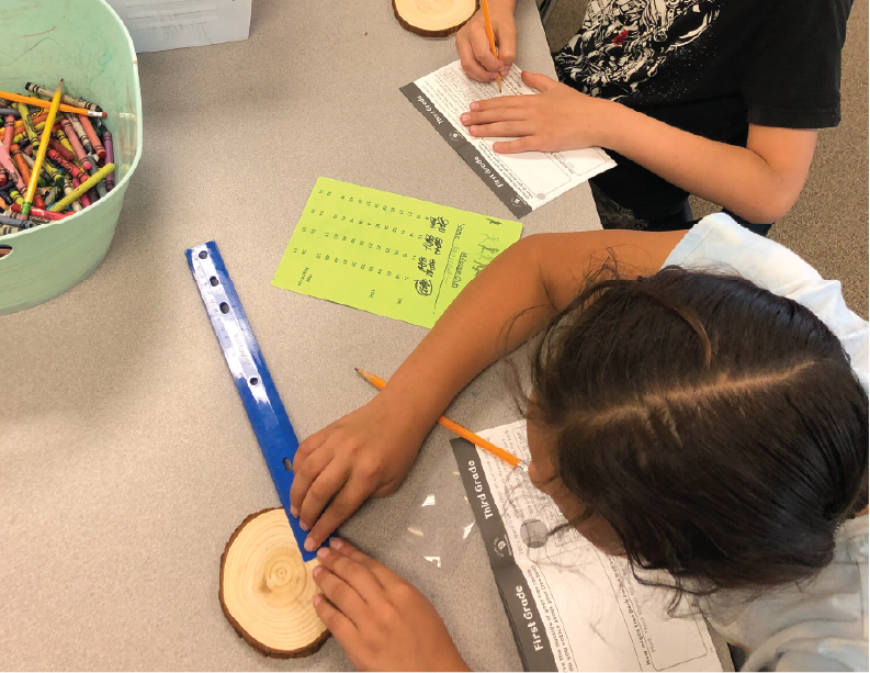 Students measuring tree rings with the Tree Detectives botany box.