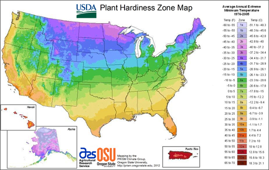 USDA Plant Hardiness map