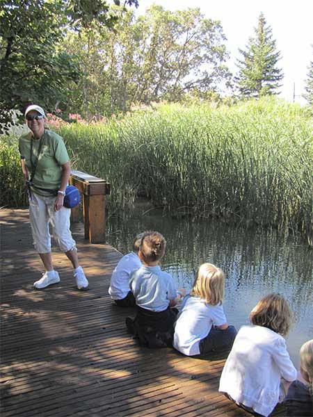 Summer Camp Volunteers