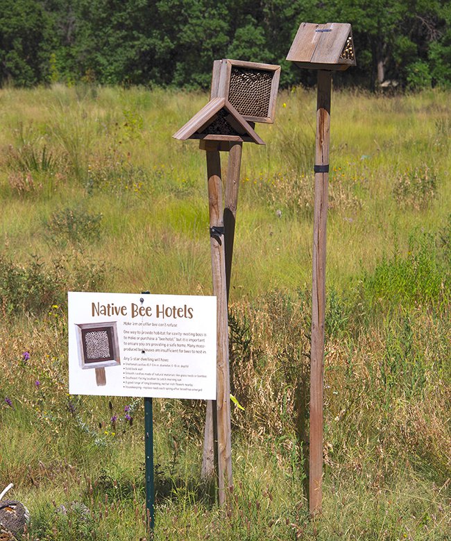 WFM Bee Hotels 1 JWB22