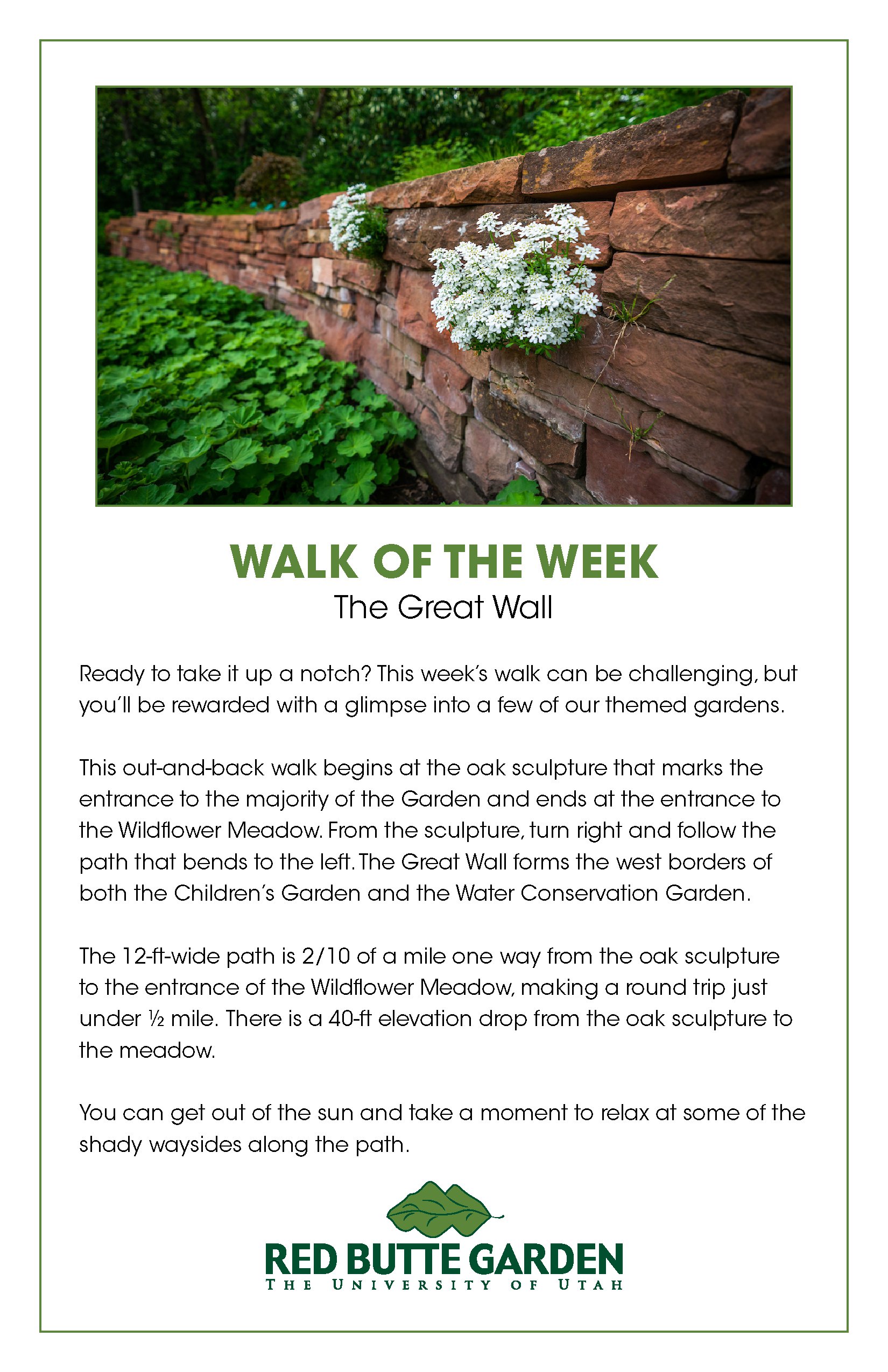 Walk of the Week_Week 2