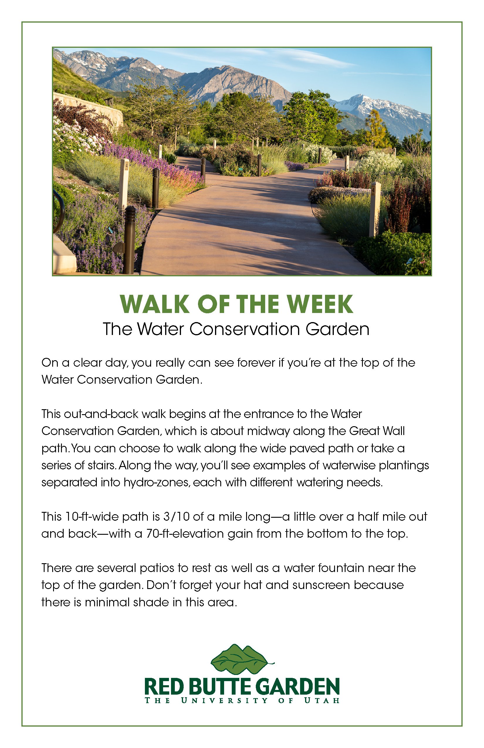 Walk of the Week_Week 3