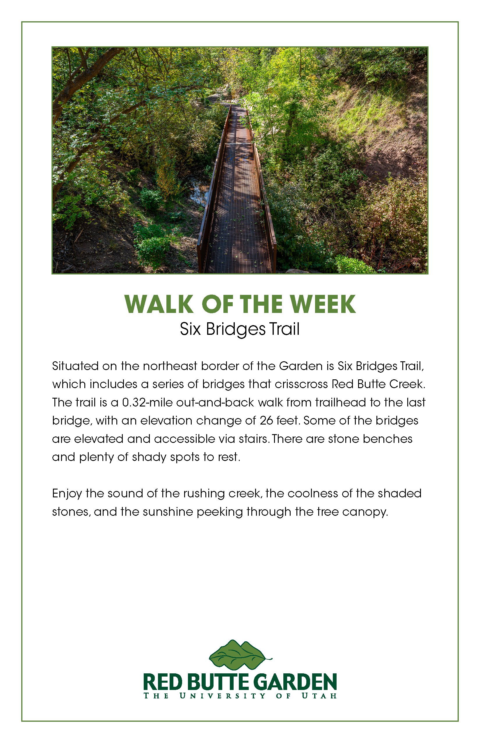 Walk of the Week_Week 4