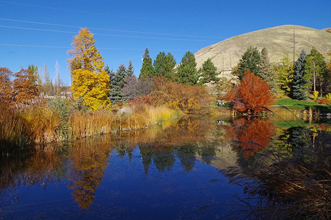 Water-Pavilion-Fall-HMS21.jpg