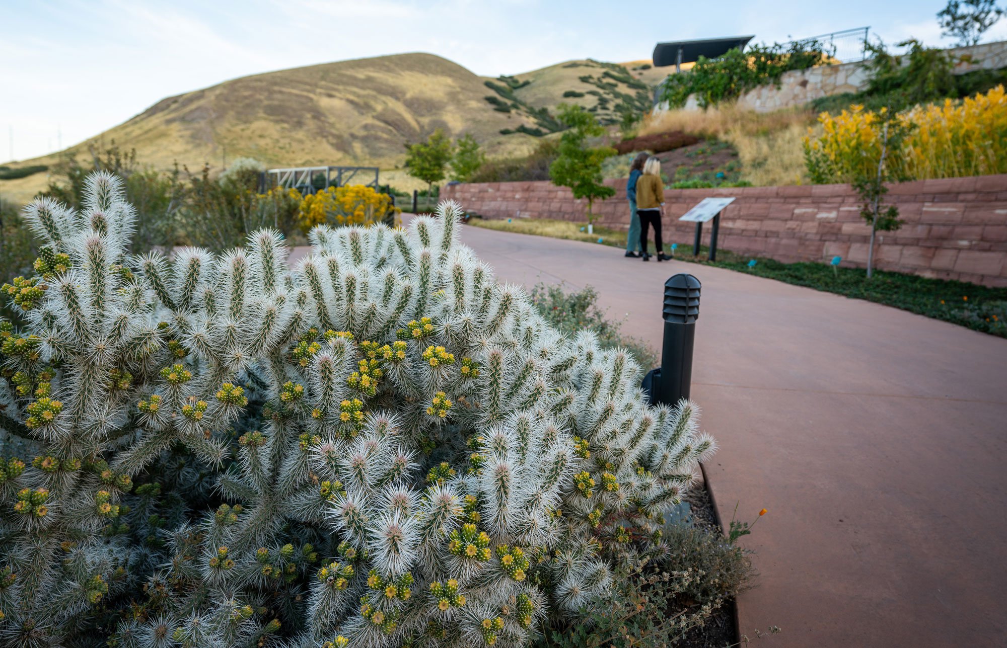 Red Butte Garden Water Conservation Garden