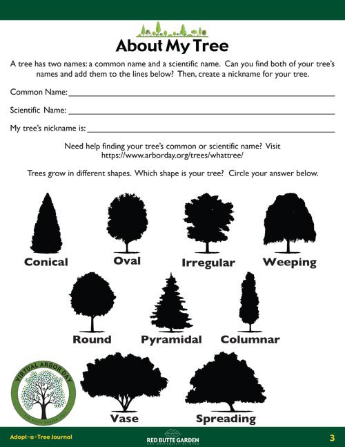 adopt-a-tree-log.jpg