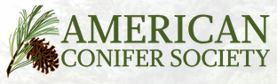 American Conifer Society