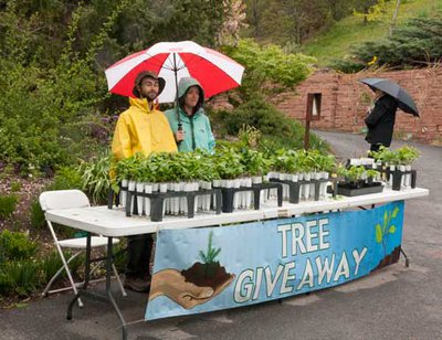 arbor-day-tree-giveaway.jpg