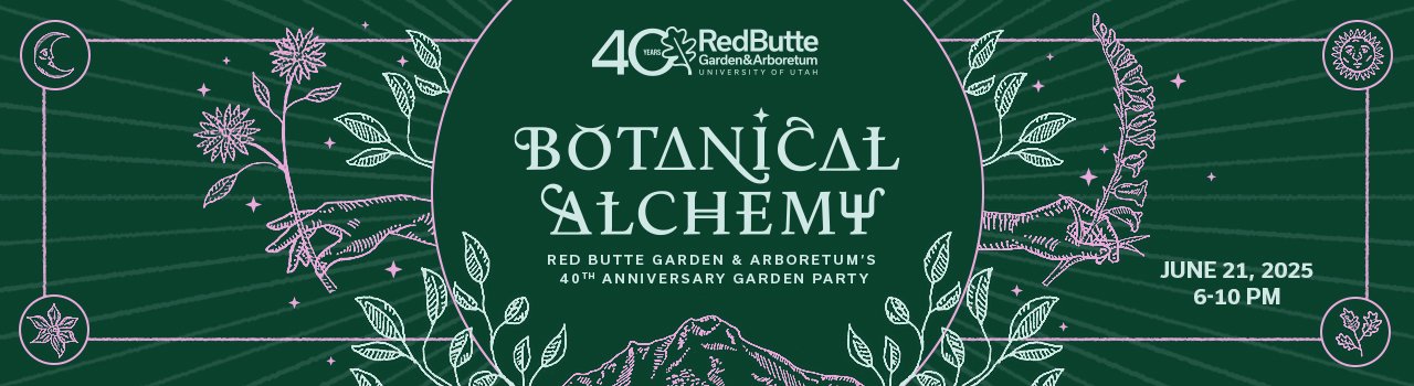 Botanical Alchemy web banner