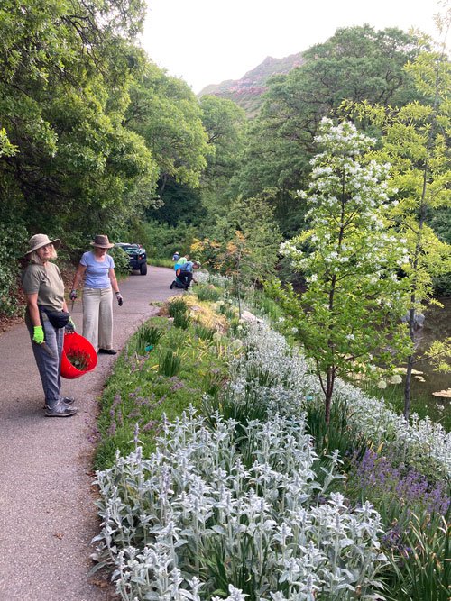 creekside-volunteers