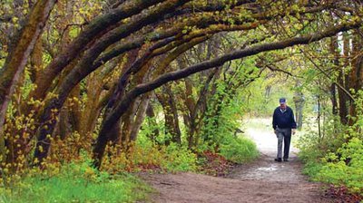 dumke-oak-tunnel-sltribune.jpg