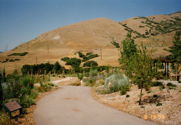 floral-walk-terrace-archive