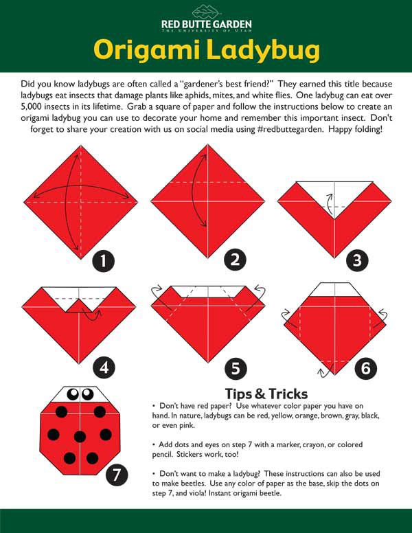 ladybug-origami-instructions2.jpg