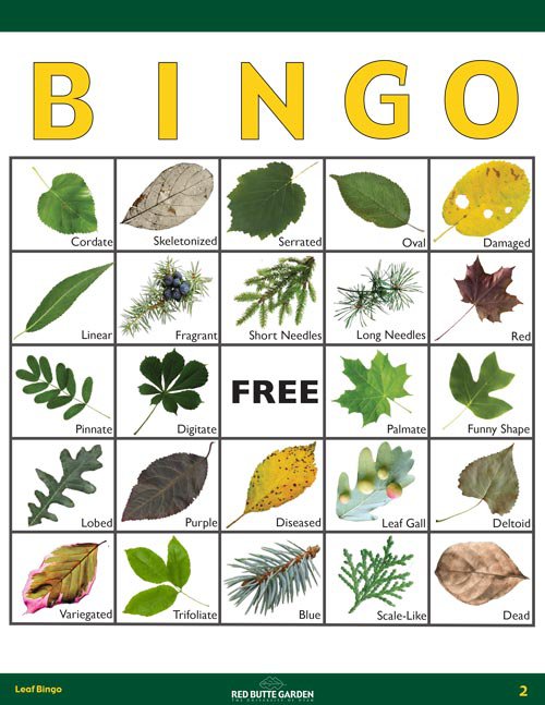 leaf-bingo.jpg