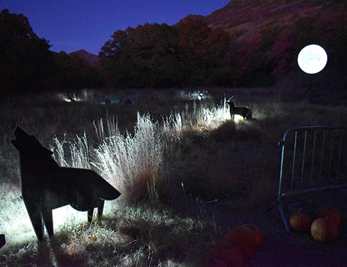 Meadow nighttime decorations for Bootanical