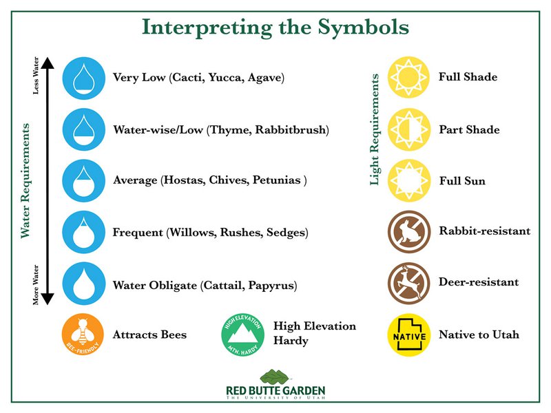 Plant Sale ID Card Visual Guide