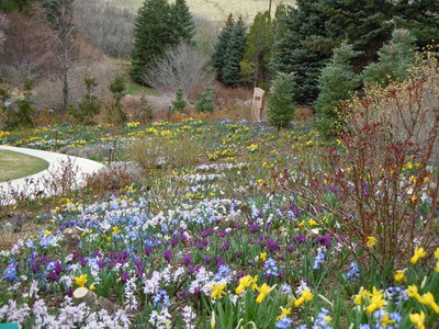 rose-garden-bulbs-jwb12.jpg