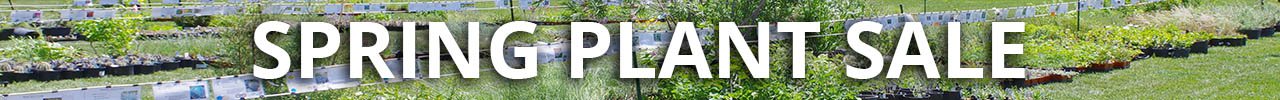 spring-plant-sale-banner.jpg