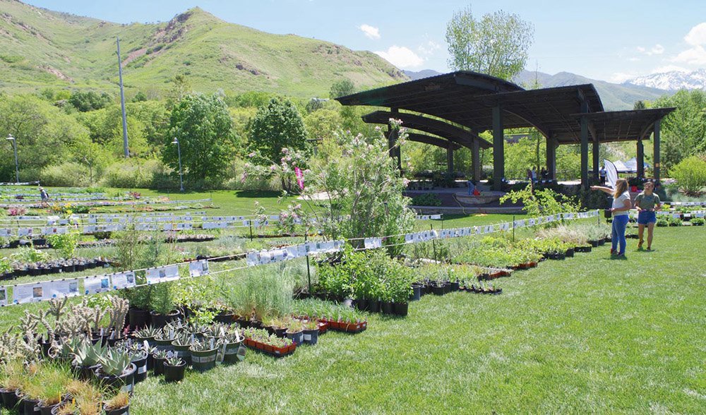 Spring Plant Sale