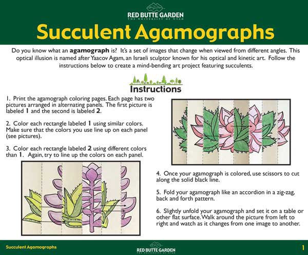 succulent-agamograph-instructions.jpg