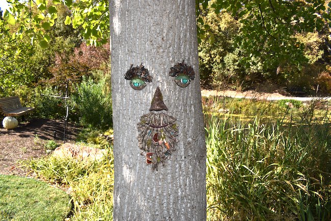 tree-face-hms20.jpg