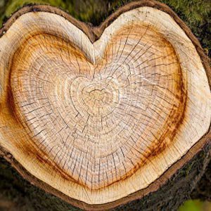 tree-heart