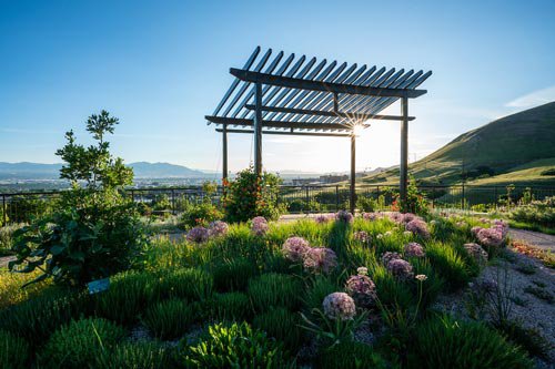 Water Conservation Garden Overlook - Dave Titensor