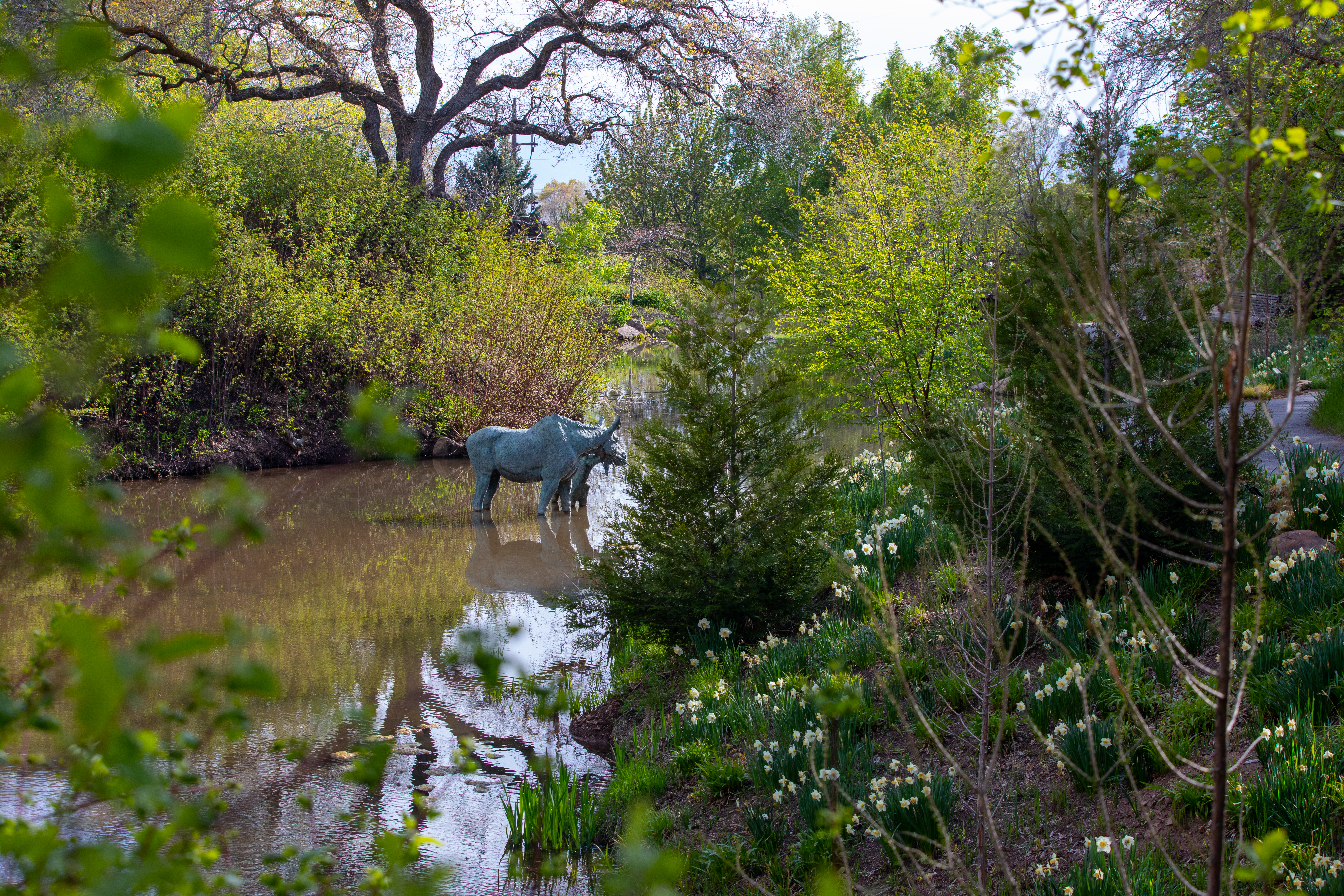 Photo of the water conservation garden