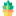 Icon for succulent plants