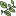 Icon for viney plants